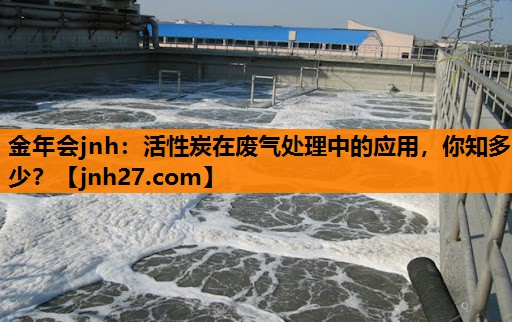 金年会jnh：活性炭在废气处理中的应用，你知多少？