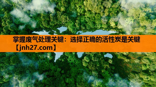 掌握废气处理关键：选择正确的活性炭是关键