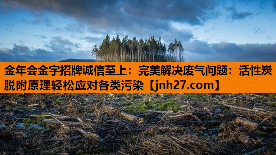 金年会金字招牌诚信至上：完美解决废气问题：活性炭脱附原理轻松应对各类污染