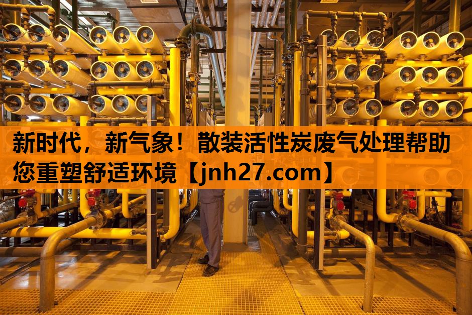 新时代，新气象！散装活性炭废气处理帮助您重塑舒适环境