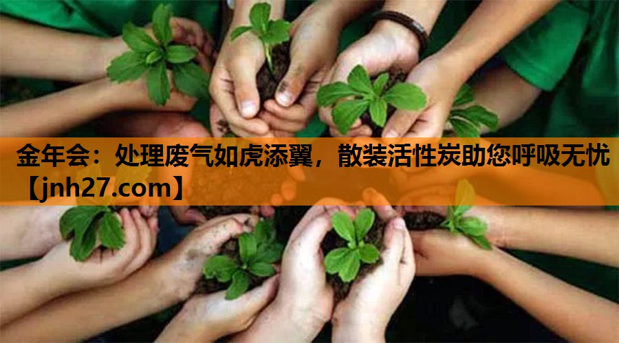 金年会：处理废气如虎添翼，散装活性炭助您呼吸无忧