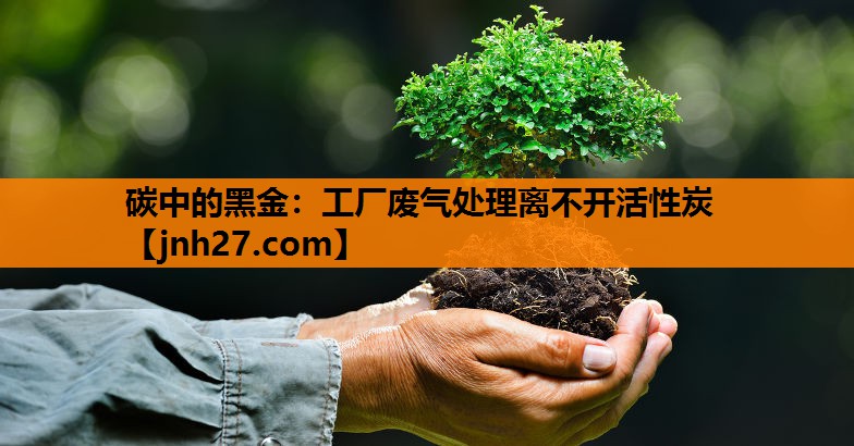 <strong>碳中的黑金：工厂废气处理离不开活性炭</strong>
