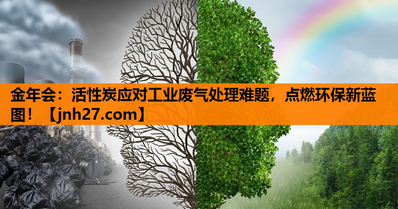 活性炭应对工业废气处理难题，点燃环保新蓝图！