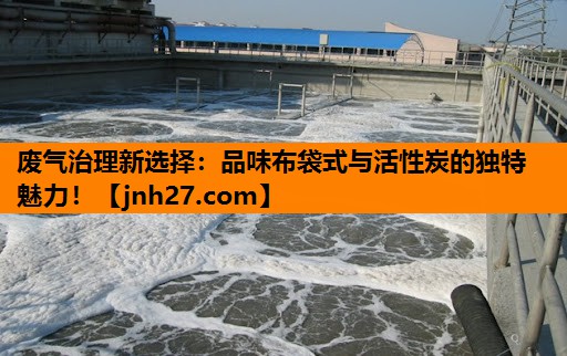 废气治理新选择：品味布袋式与活性炭的独特魅力！