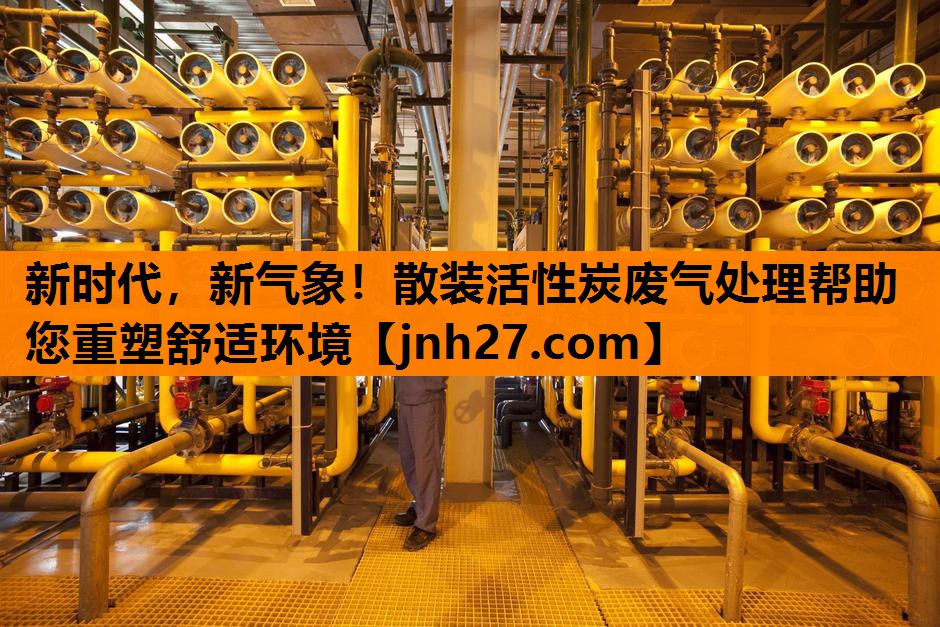 新时代，新气象！散装活性炭废气处理帮助您重塑舒适环境