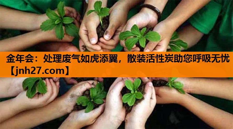 处理废气如虎添翼，散装活性炭助您呼吸无忧