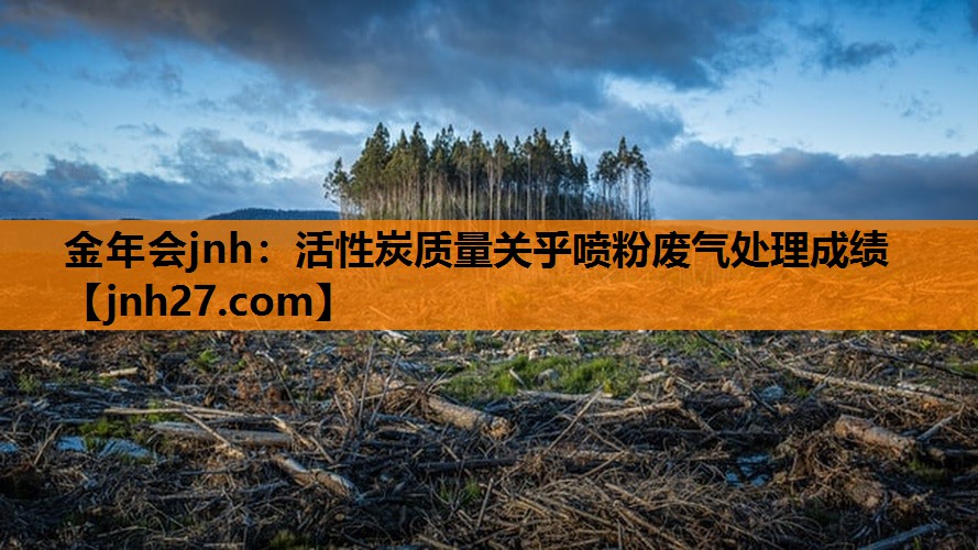 活性炭质量关乎喷粉废气处理成绩