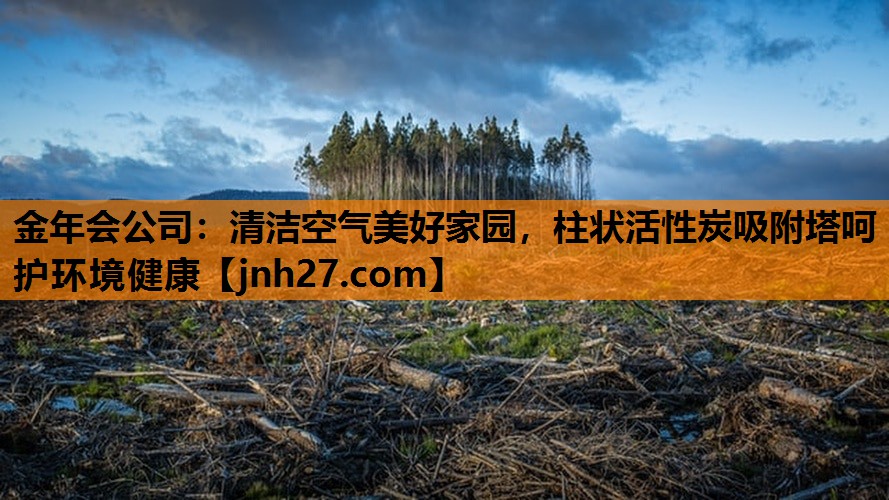 清洁空气美好家园，柱状活性炭吸附塔呵护环境健康