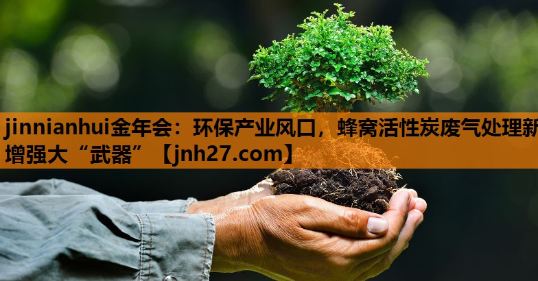 环保产业风口，蜂窝活性炭废气处理新增强大“武器”